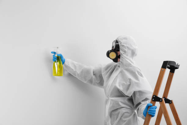 Why You Should Choose Our Mold Remediation Services in Mansfield, OH